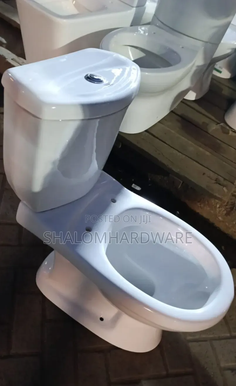 S Trap Toilet