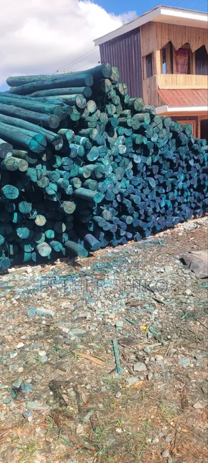 Poles, Untreated and Treated Post of All Sizes