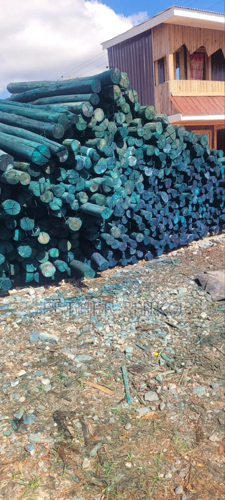 Poles, Untreated and Treated Post of All Sizes