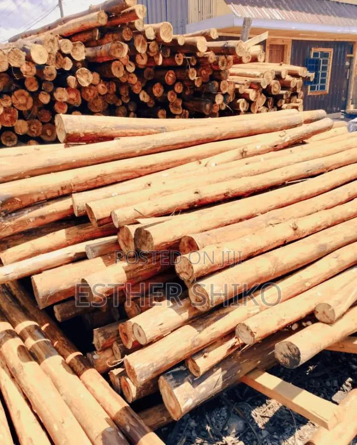 Poles, Untreated and Treated Post of All Sizes