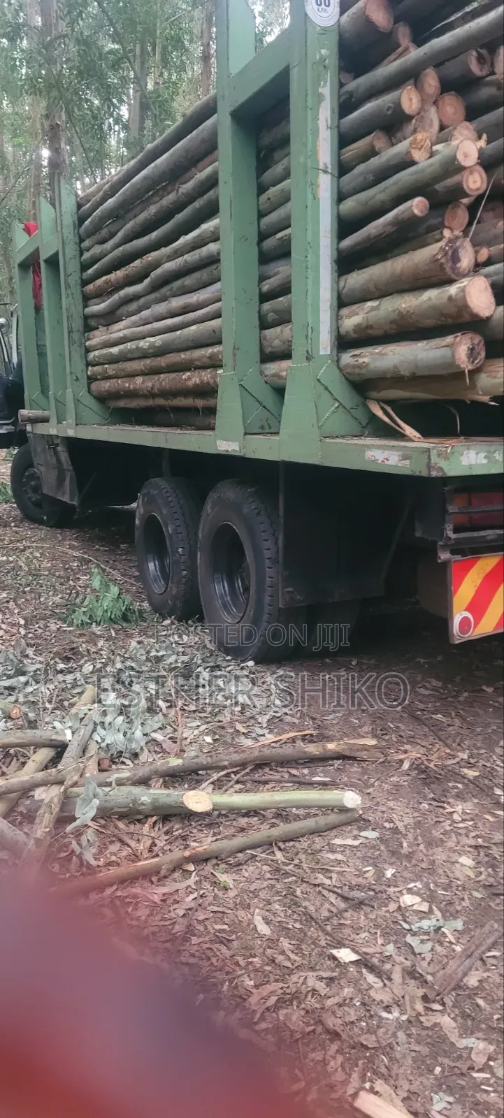 Poles, Untreated and Treated Post of All Sizes