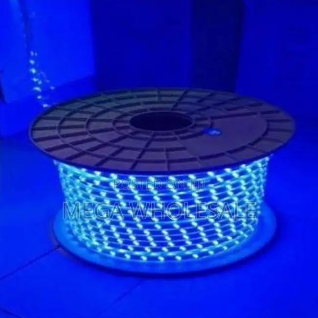 Commercial Lighting 50Meter Outdoor Snake Light With Connector
