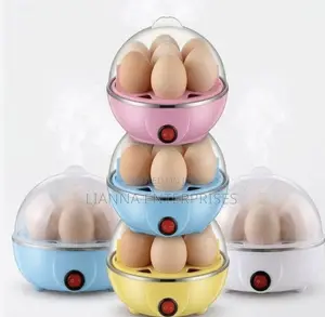 Electric Egg Poacher