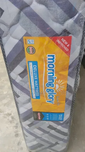  at 7000, We Are Selling 4 by 6, 10 Inch Quilted Morning Glory Mattress