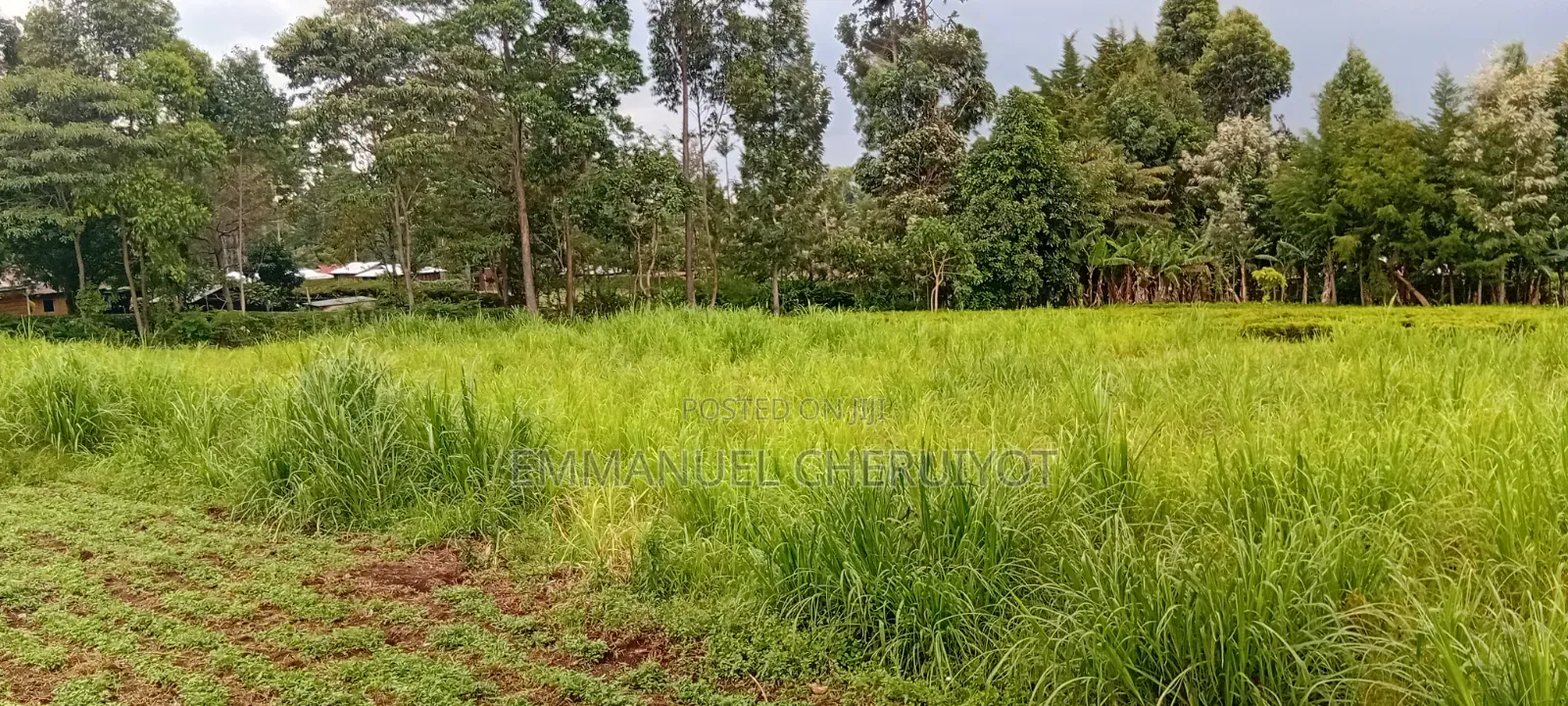 Land for Sale Within Kapsoit Kericho County