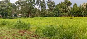 Land for Sale Within Kapsoit Kericho County