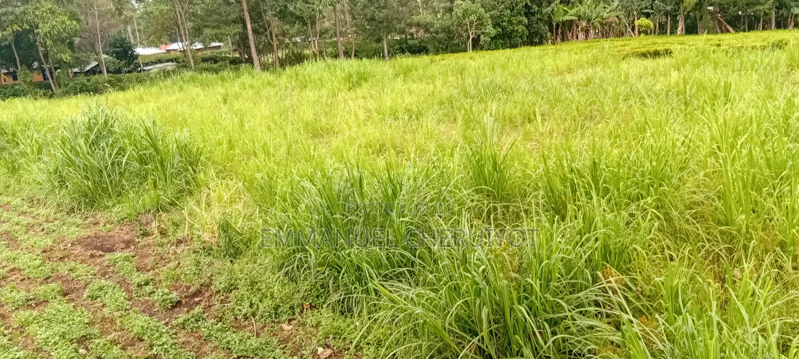 Land for Sale Within Kapsoit Kericho County