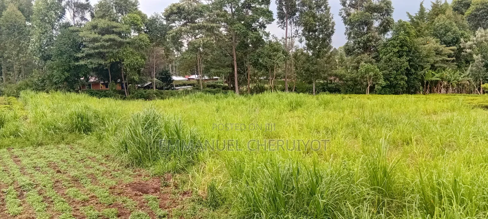Land for Sale Within Kapsoit Kericho County