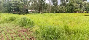 Land for Sale Within Kapsoit Kericho County