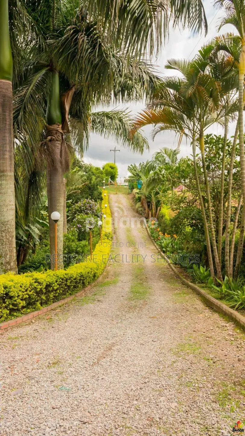 Professional Landscaping Gardening Services in Nairobi