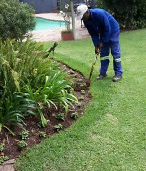 Professional Landscaping Gardening Services in Nairobi