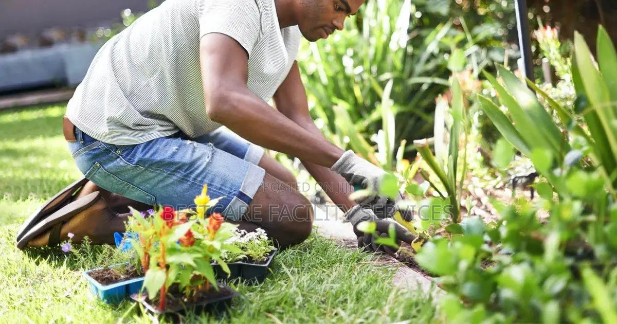 Professional Landscaping Gardening Services in Nairobi