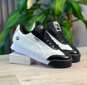 Puma Roma.