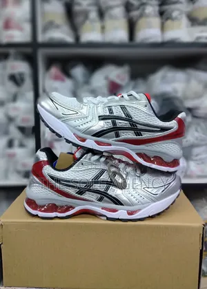 Asics Gel Kayano