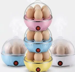 Automatic Egg Cooker