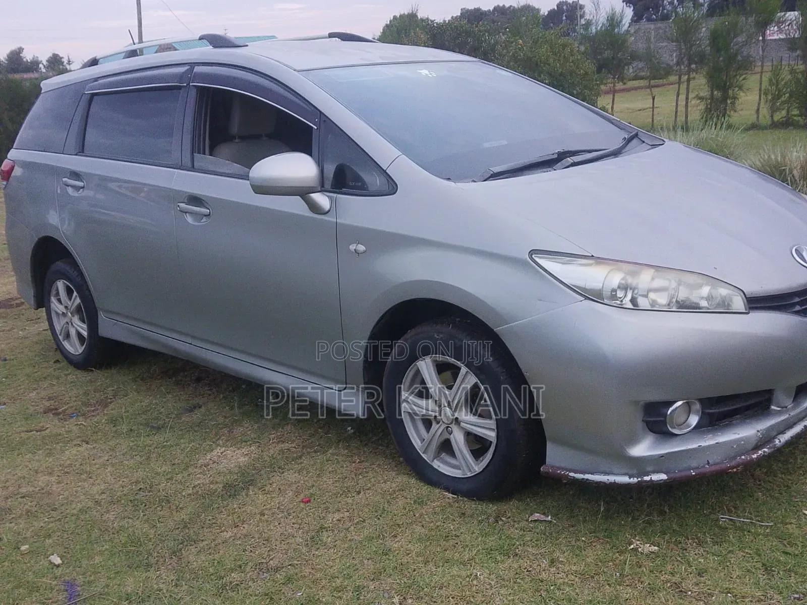 Toyota Wish 2009 Gray