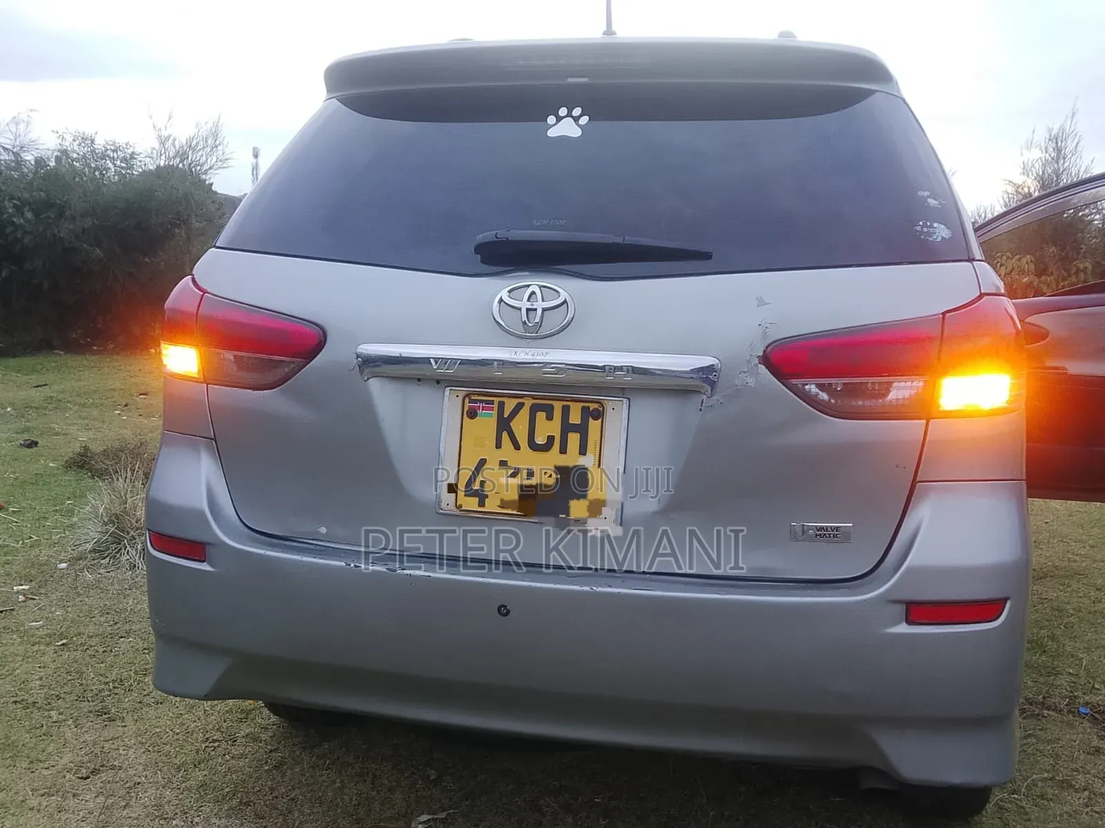 Toyota Wish 2009 Gray