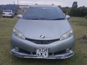 Toyota Wish 2009 Gray