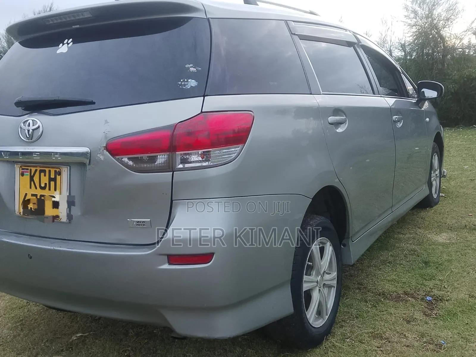 Toyota Wish 2009 Gray