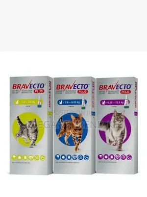 Bravecto for Cats