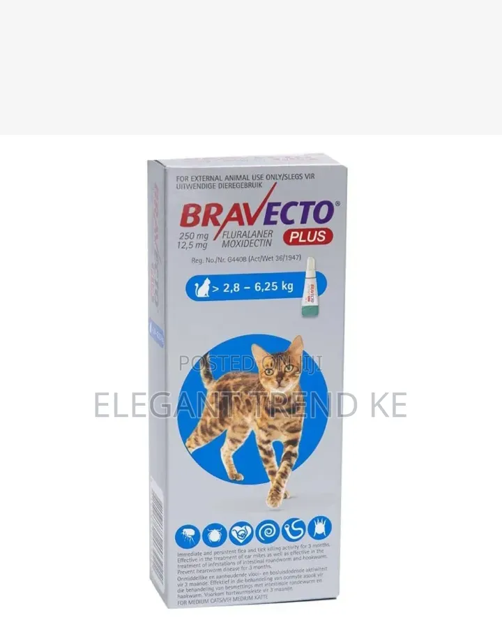 Bravecto for Cats