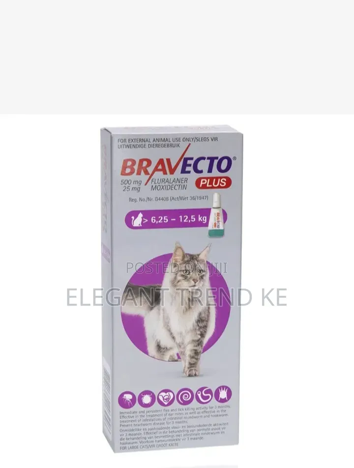 Bravecto for Cats