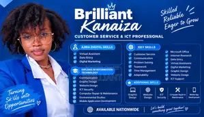 Customer Service and IT Support Professional