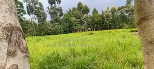 Mixed-Used Land
