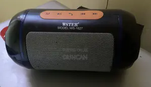 WSTER-Model:WS-1827
