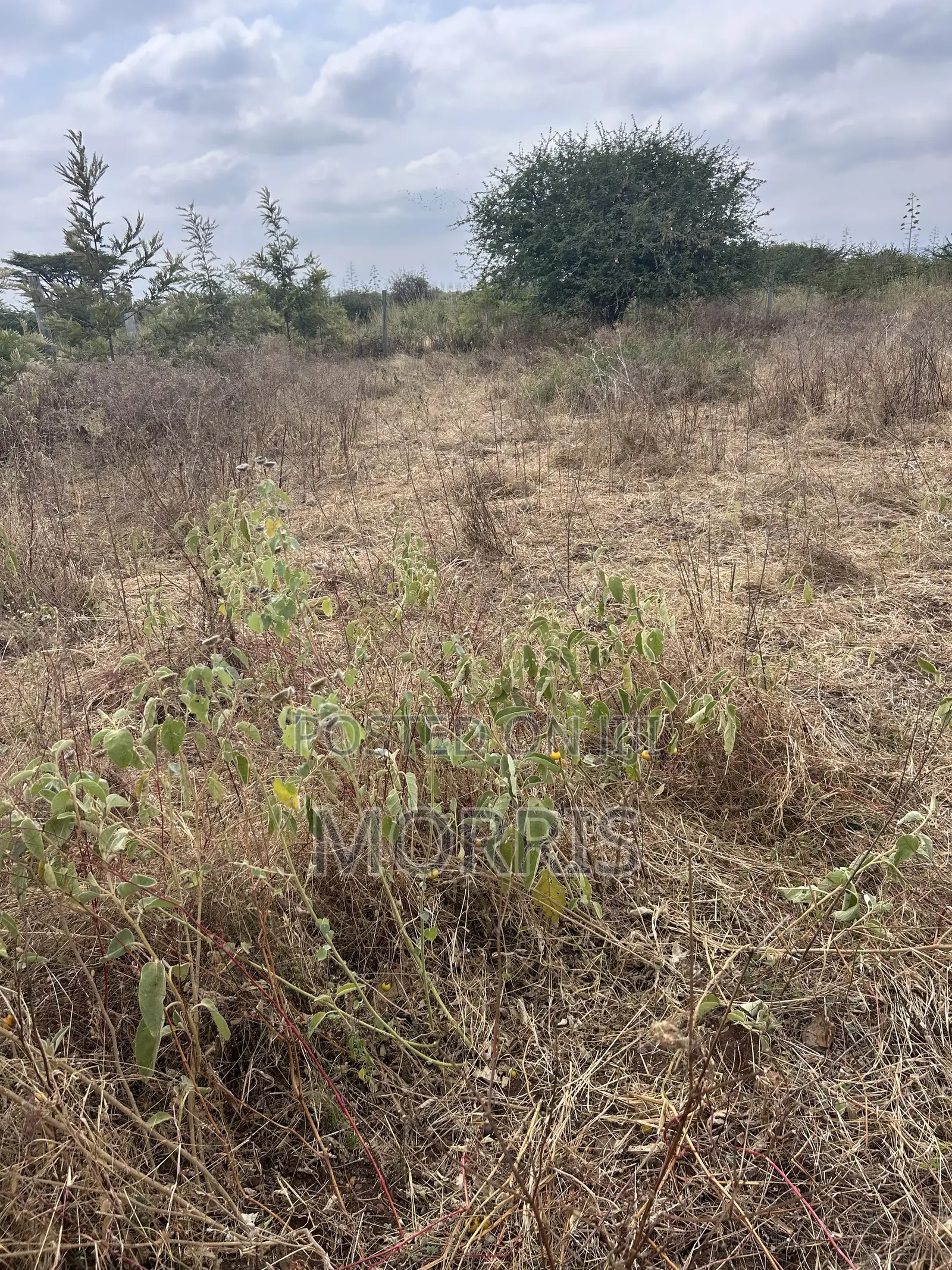 1 Acre Land , Prime Location 5 Minutes From Mombasa Road