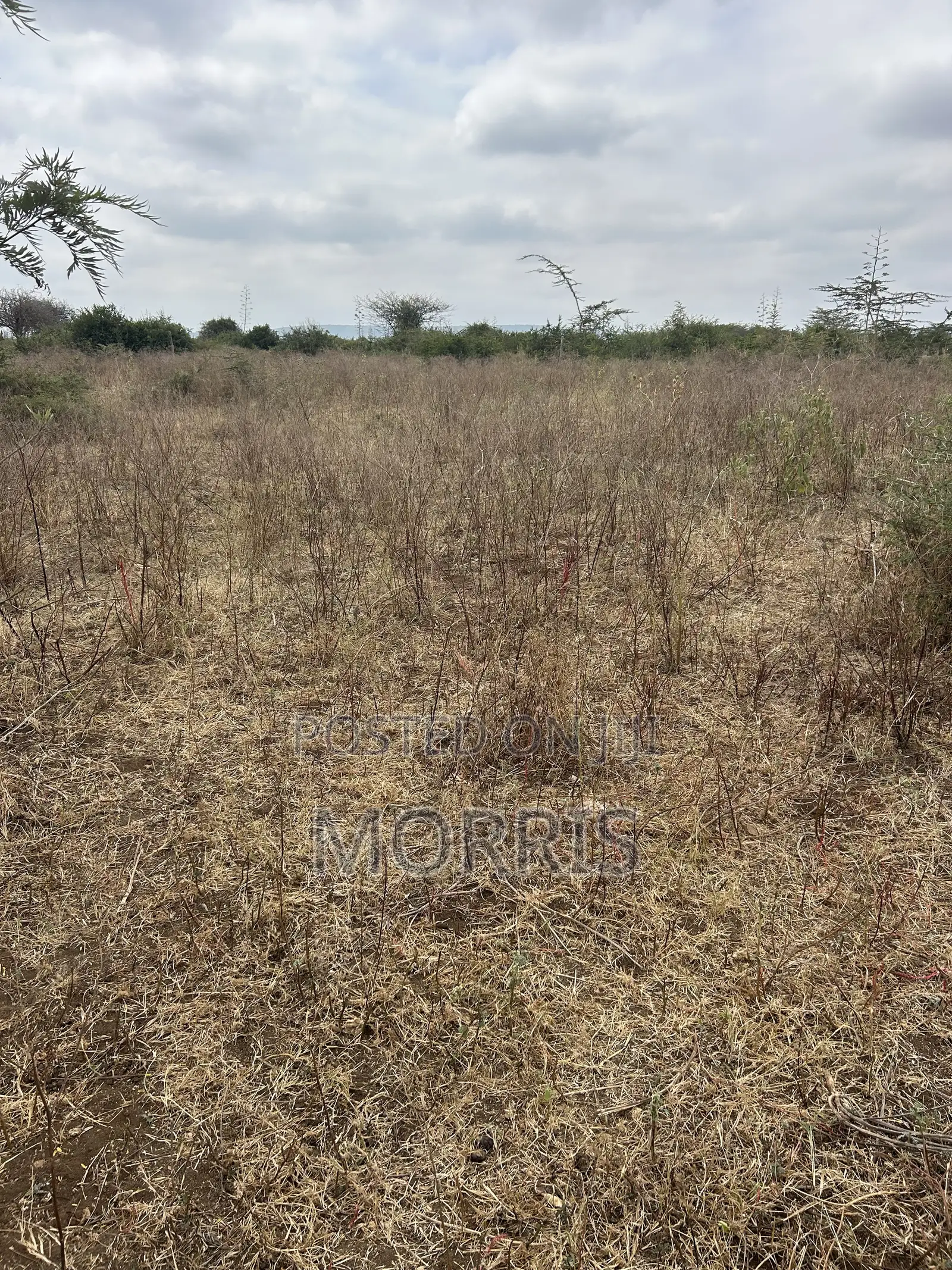 1 Acre Land , Prime Location 5 Minutes From Mombasa Road