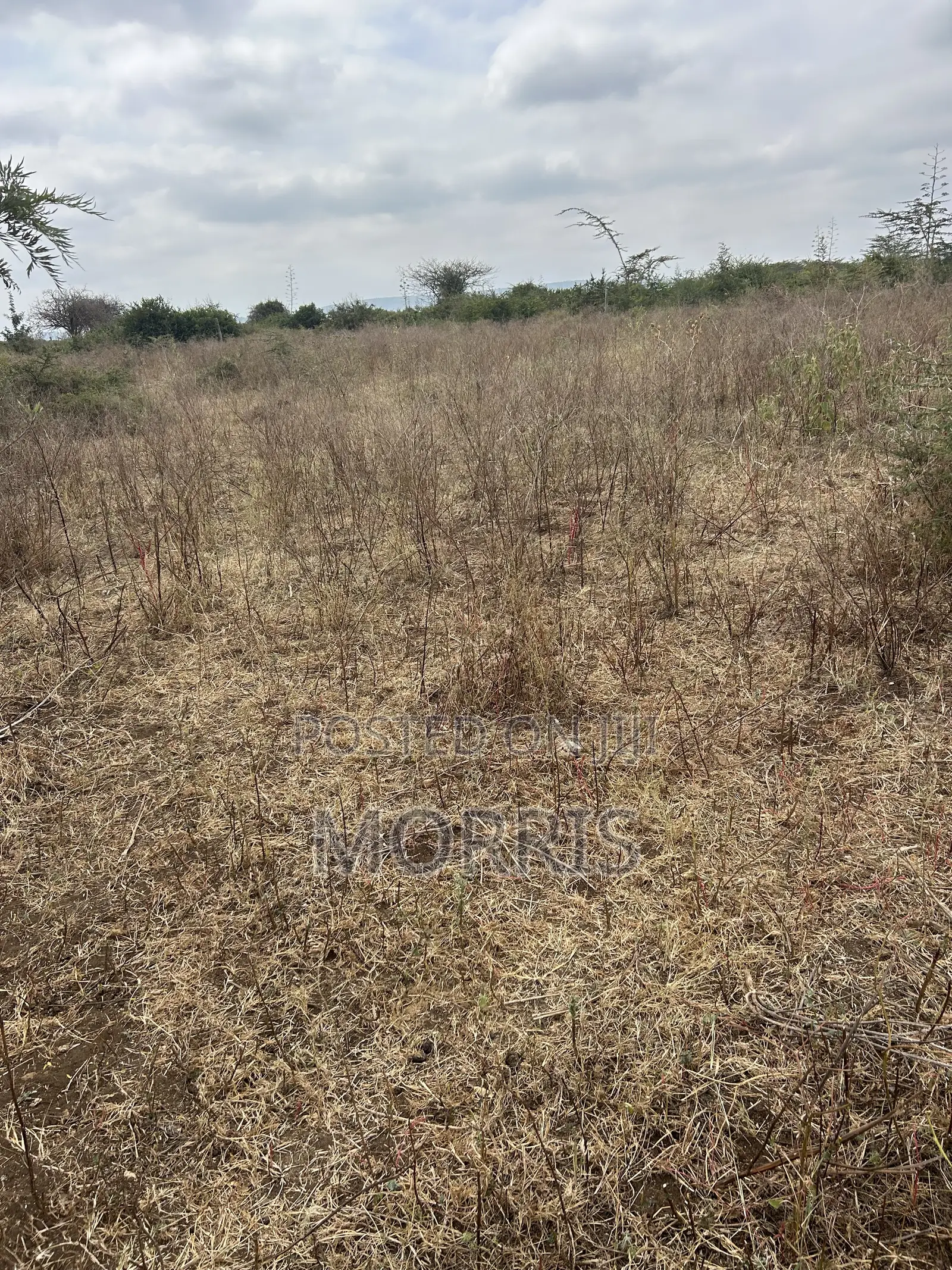 1 Acre Land , Prime Location 5 Minutes From Mombasa Road