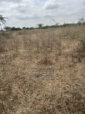 1 Acre Land , Prime Location 5 Minutes From Mombasa Road