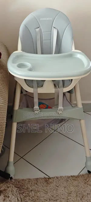 Peekaboo Premium 2 in 1 Comfy Feeding Chair Age 6 Months to 4 Years To