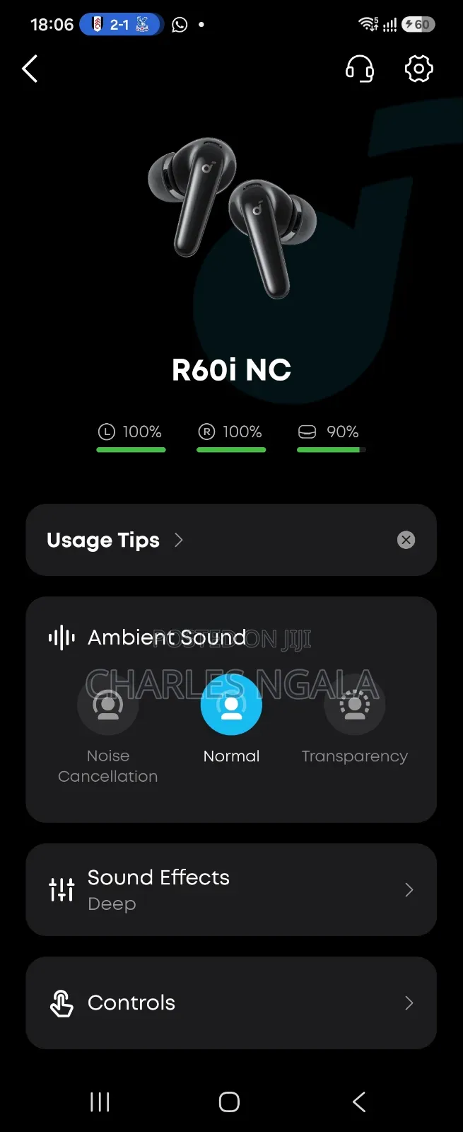 Soundcore R60i NC Earbuds