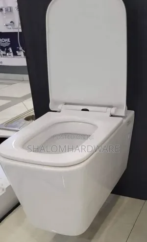 Back to Wall Toilets