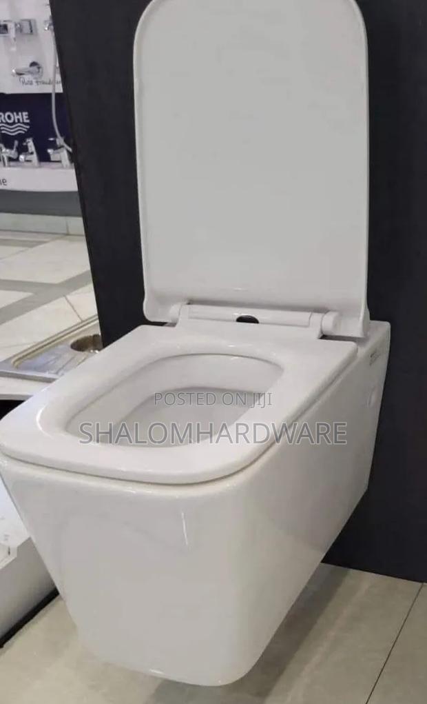 Back to Wall Toilets