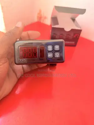 AKO Digital Thermostat Double Probe – Refrigeration Cold Room
