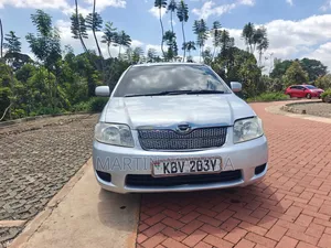 Toyota Corolla Fielder 2006 Silver