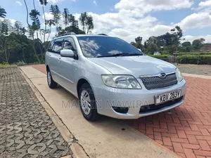 Toyota Corolla Fielder 2006 Silver