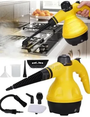 220V Handheld High Temperature Steam Cleaner