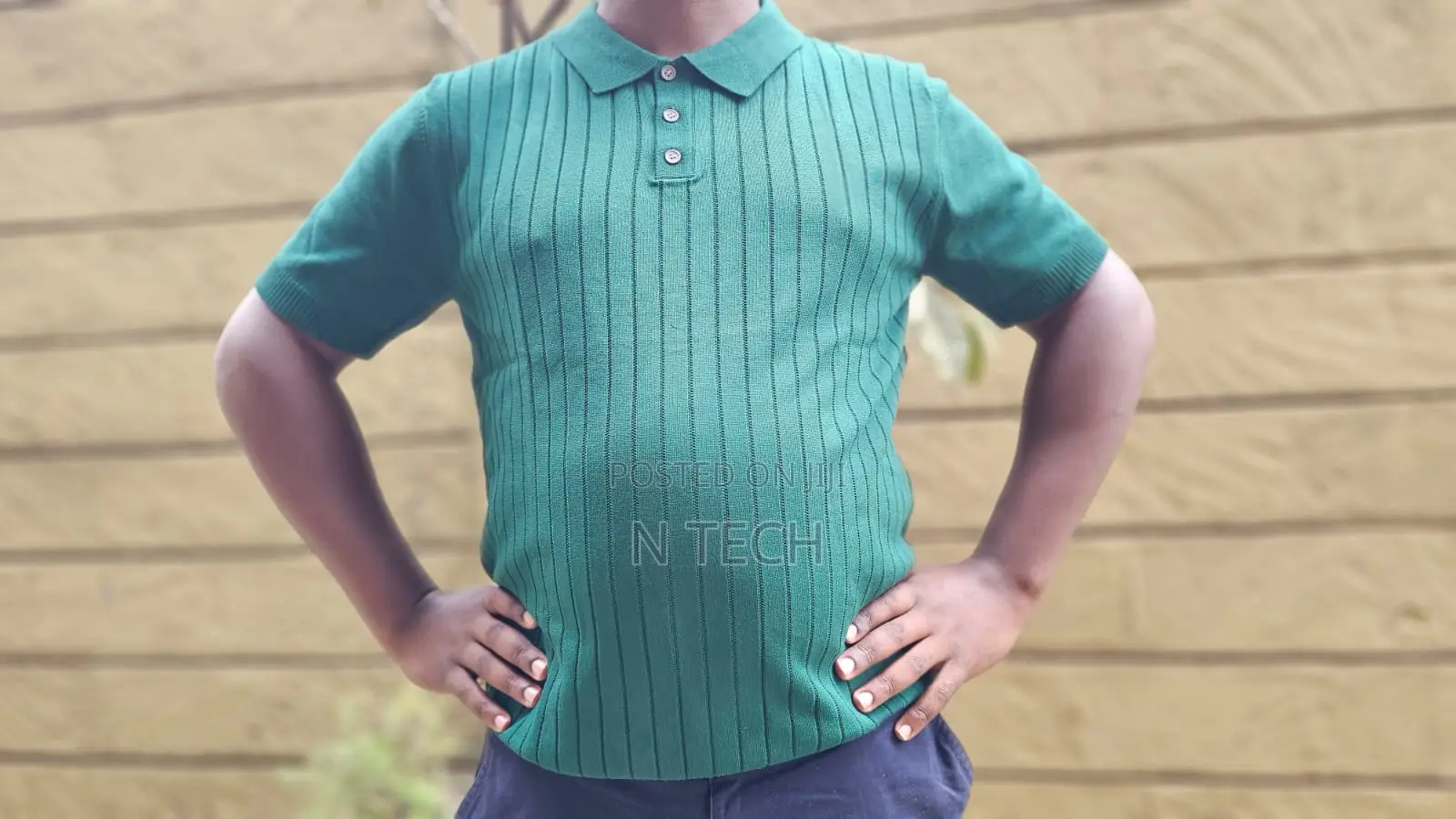 Wild Squirrel Polo Knitted Tshirts