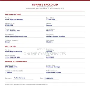 Data Entry Excel Services