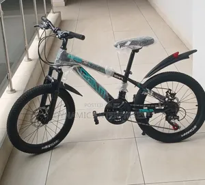 Mountain Bicycle