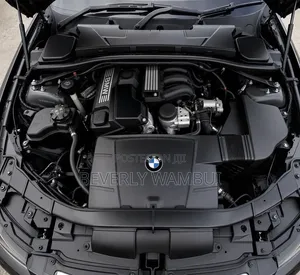 BMW 3 Series 2009 Black