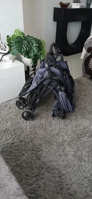 Twins Stroller