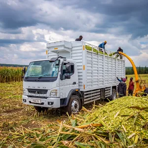 Mitsubishi FI Truck -in Stock
