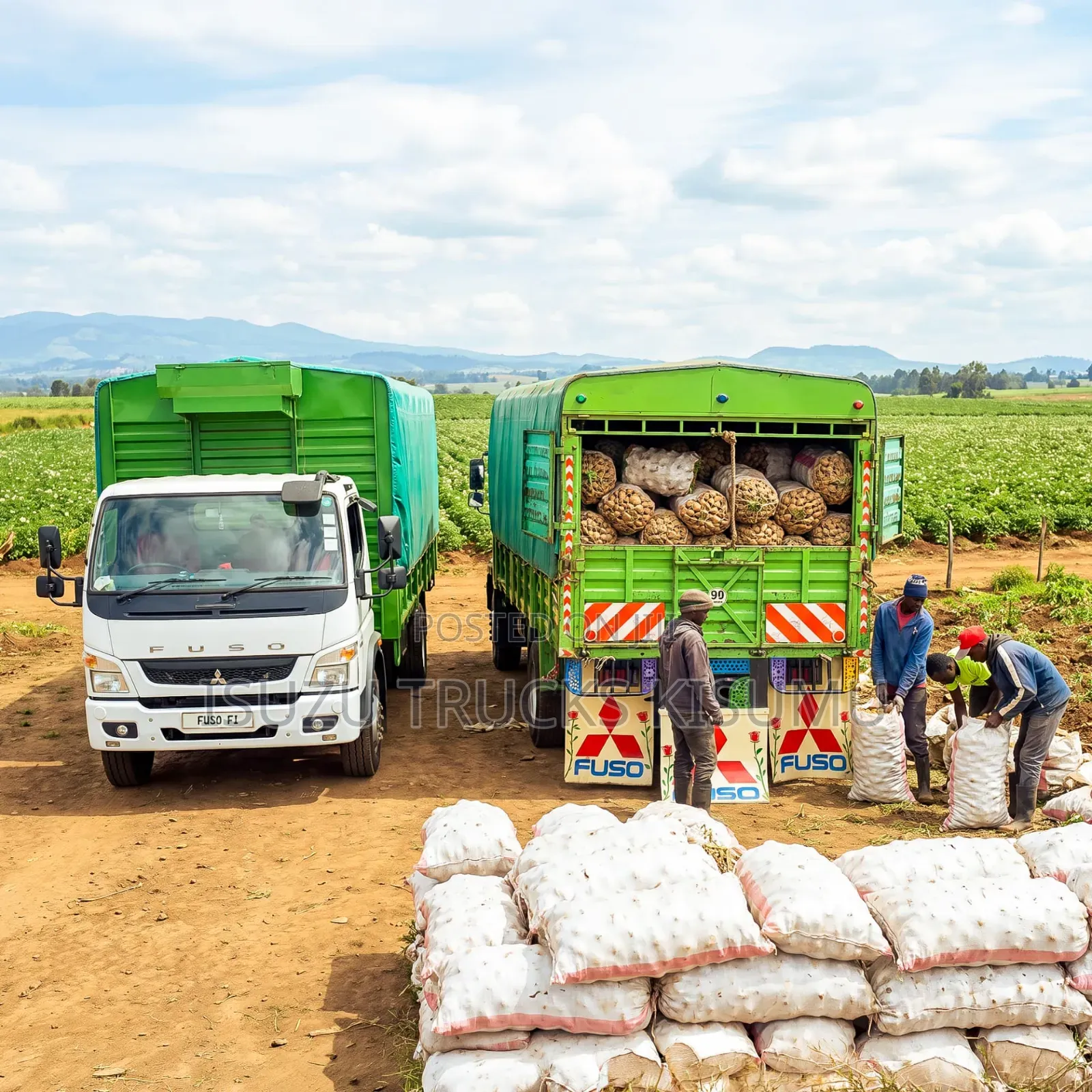 Mitsubishi FI Truck -in Stock