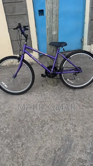 Bicycle Sale
