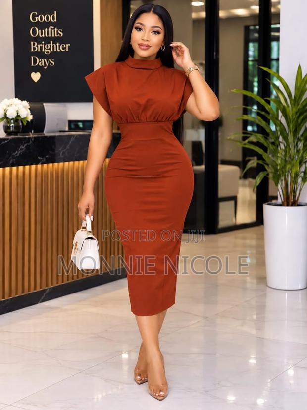 Stylish Burnt Orange Office Pencil Dress